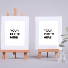 Easel-Back Display Stands